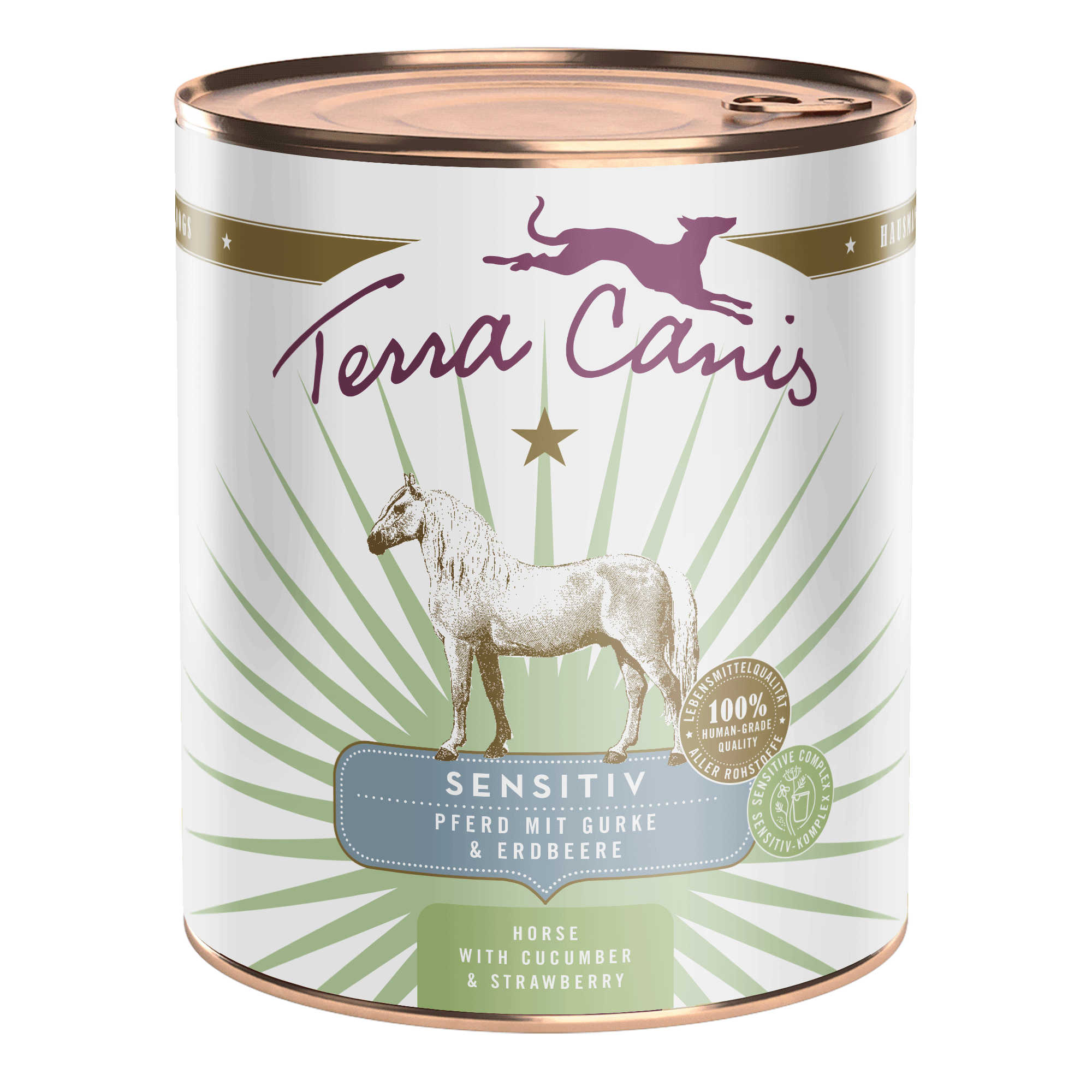 Terra Canis Sensitiv | Pferd mit Gurke und Erdbeere 800g