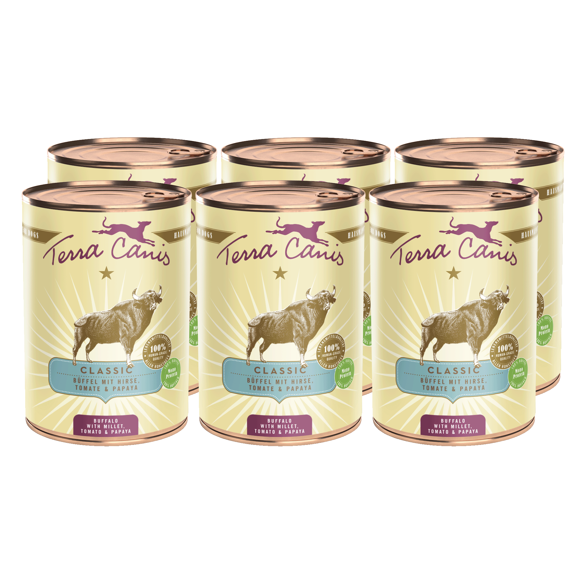 Terra Canis Classic | Büffel mit Hirse, Tomate und Papaya  6x 400g