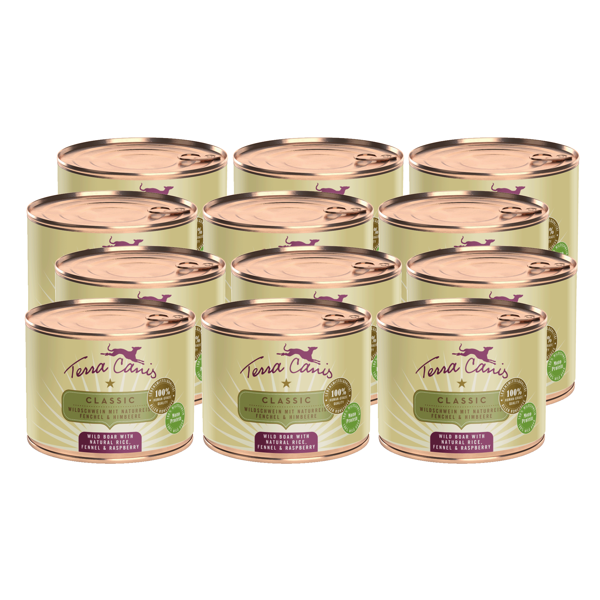 Terra Canis Classic | Wildschwein mit Naturreis, Fenchel und Himbeere 12x 200g