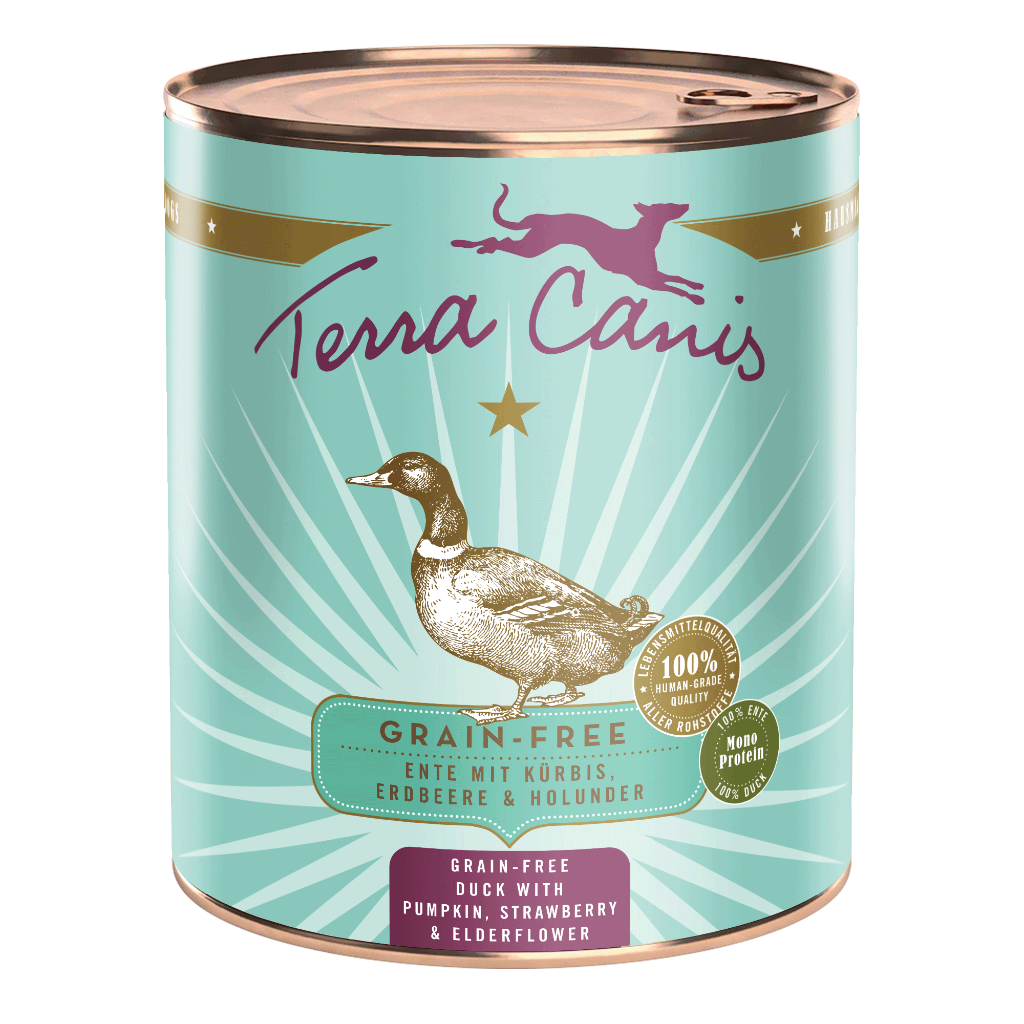 Terra Canis Getreidefrei | Ente mit Kürbis, Erdbeere und Holunder  800g