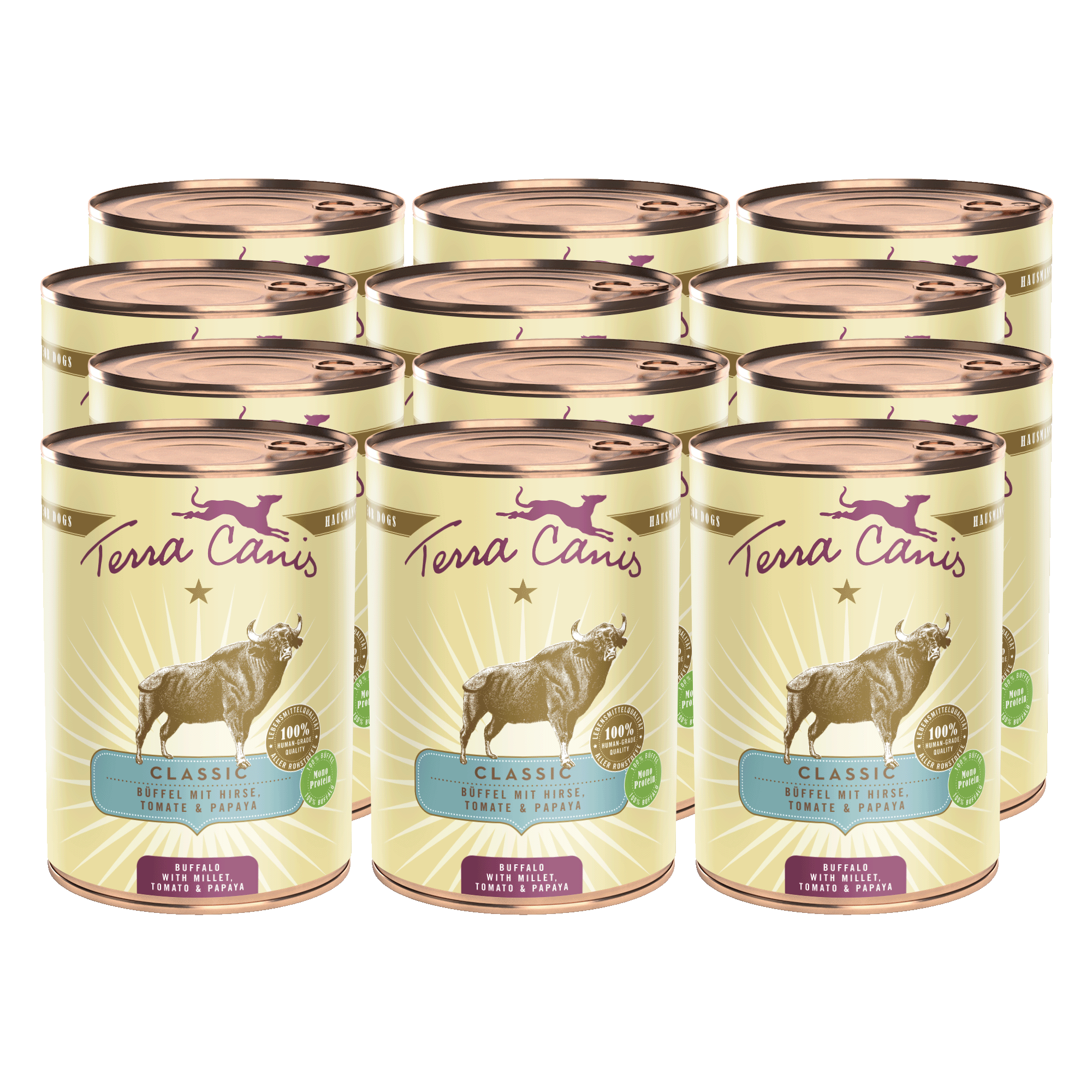 Terra Canis Classic | Büffel mit Hirse, Tomate und Papaya  12x 400g