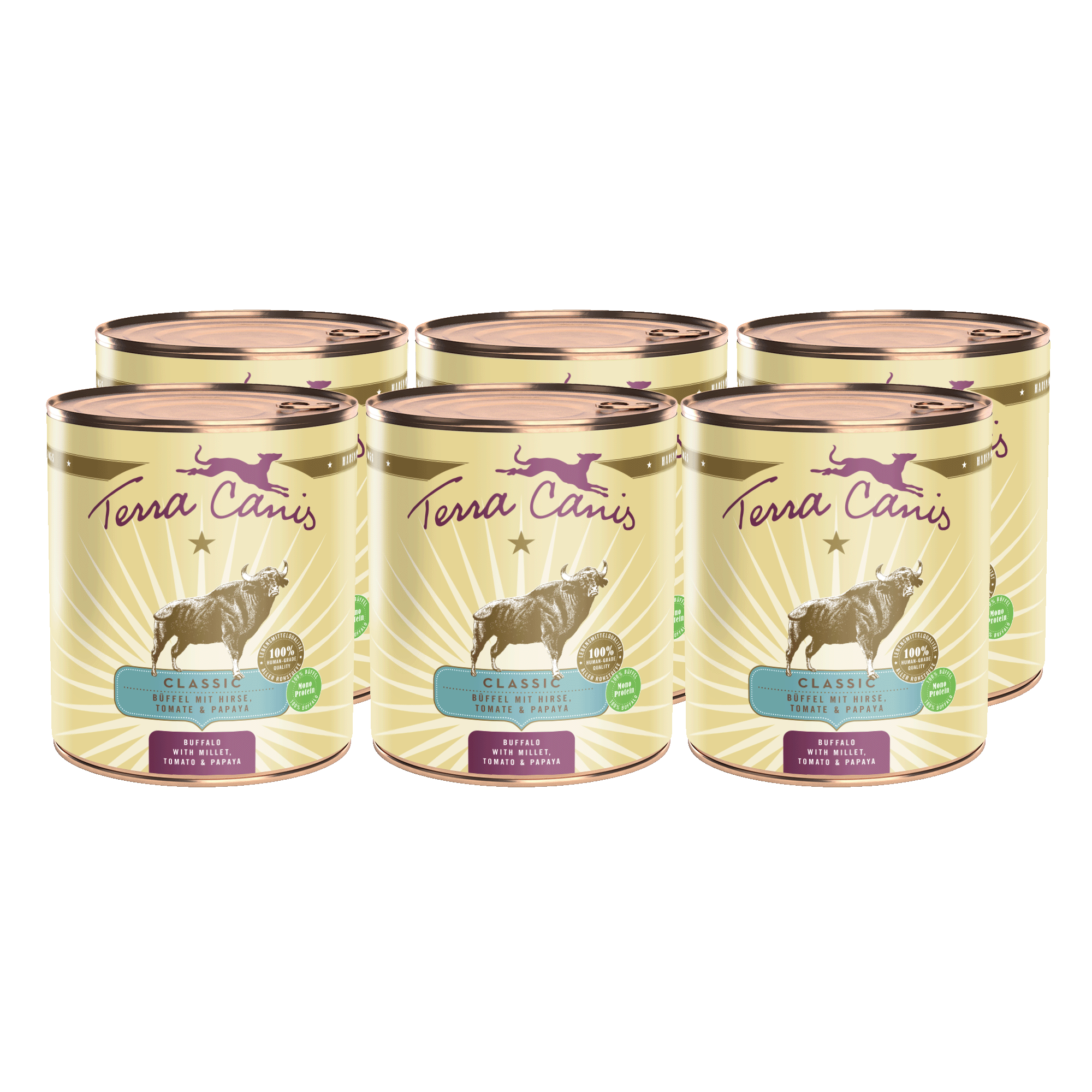 Terra Canis Classic | Büffel mit Hirse, Tomate und Papaya  6x 800g