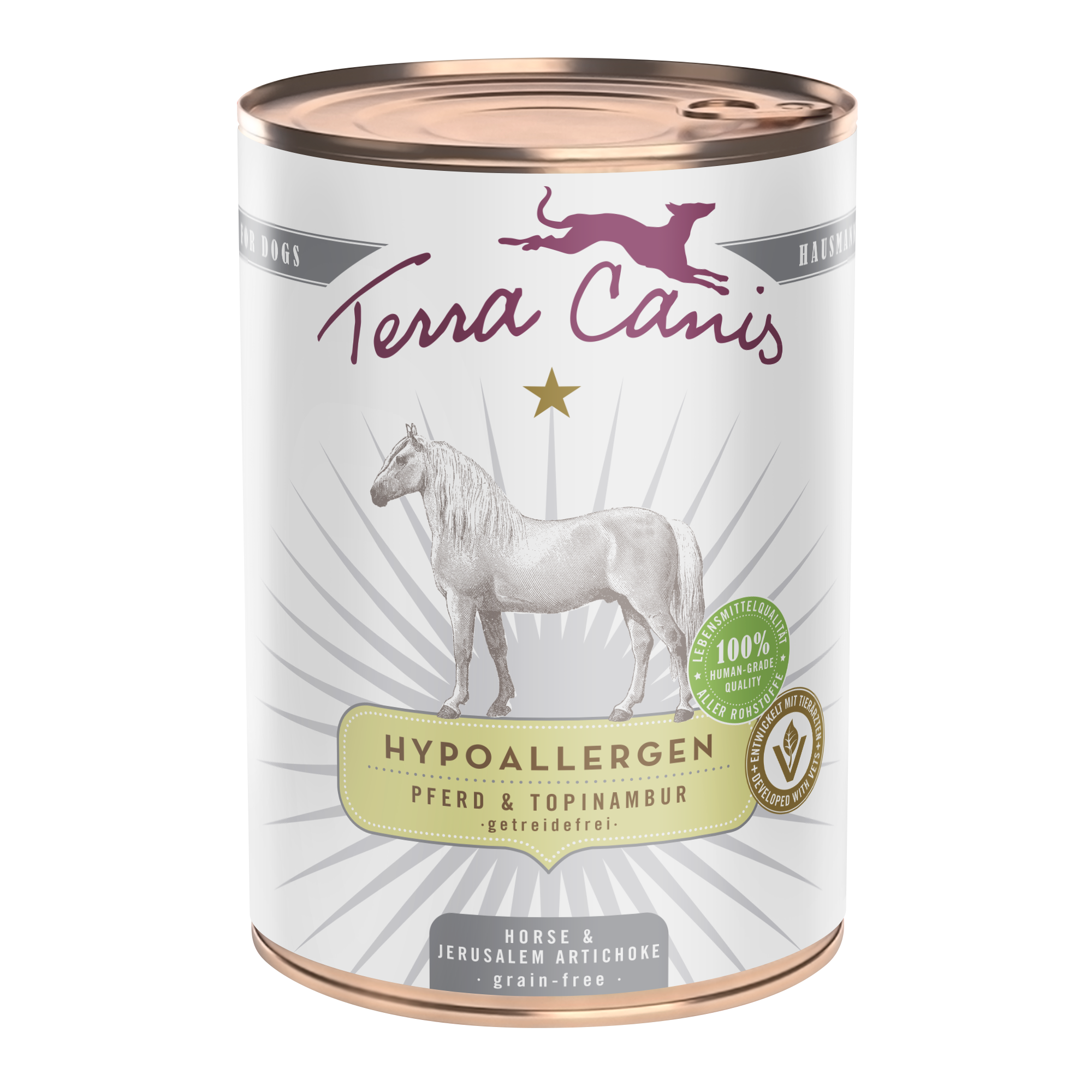 Terra Canis Hypoallergen | Pferd mit Topinambur 400g