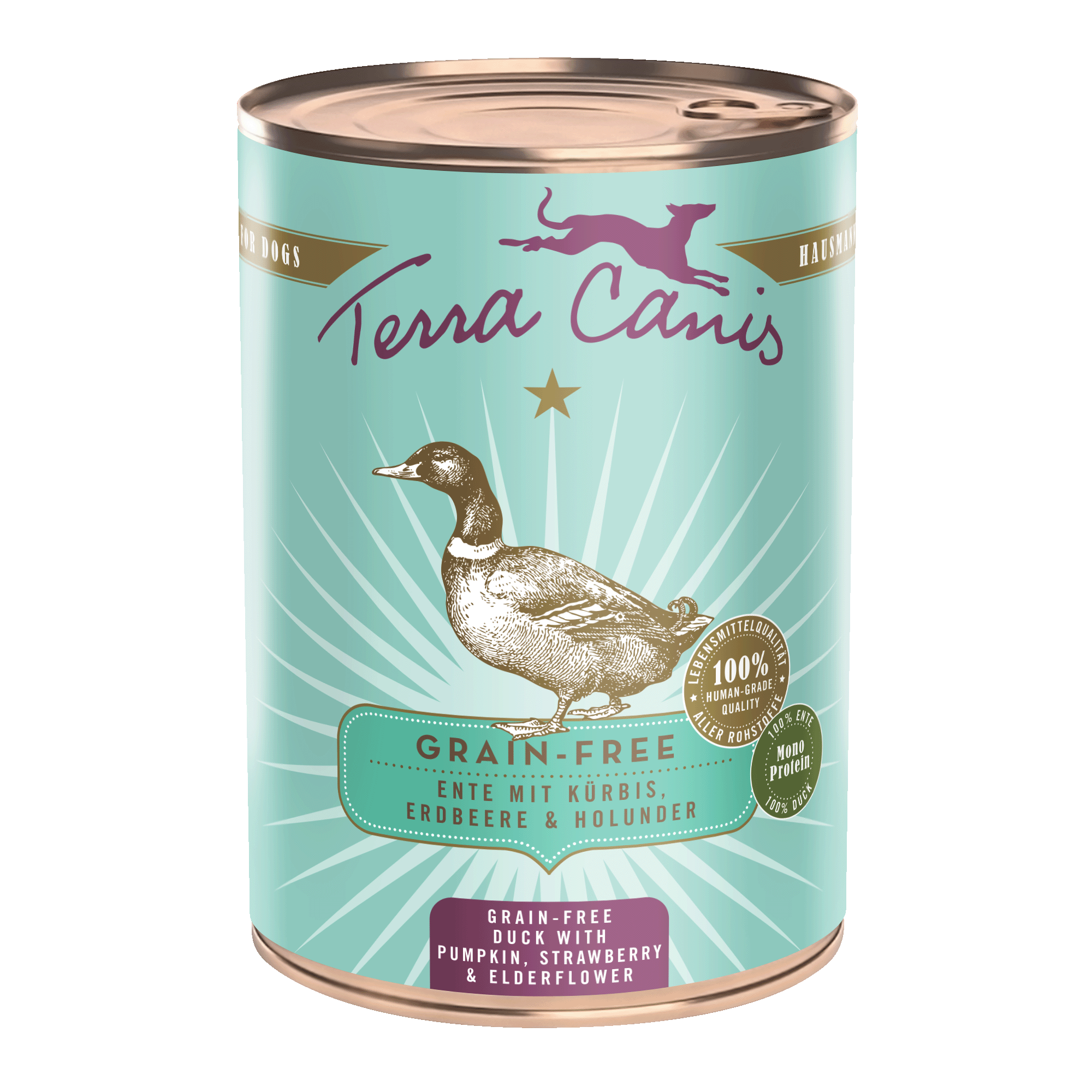 Terra Canis Getreidefrei | Ente mit Kürbis, Erdbeere und Holunder  400g