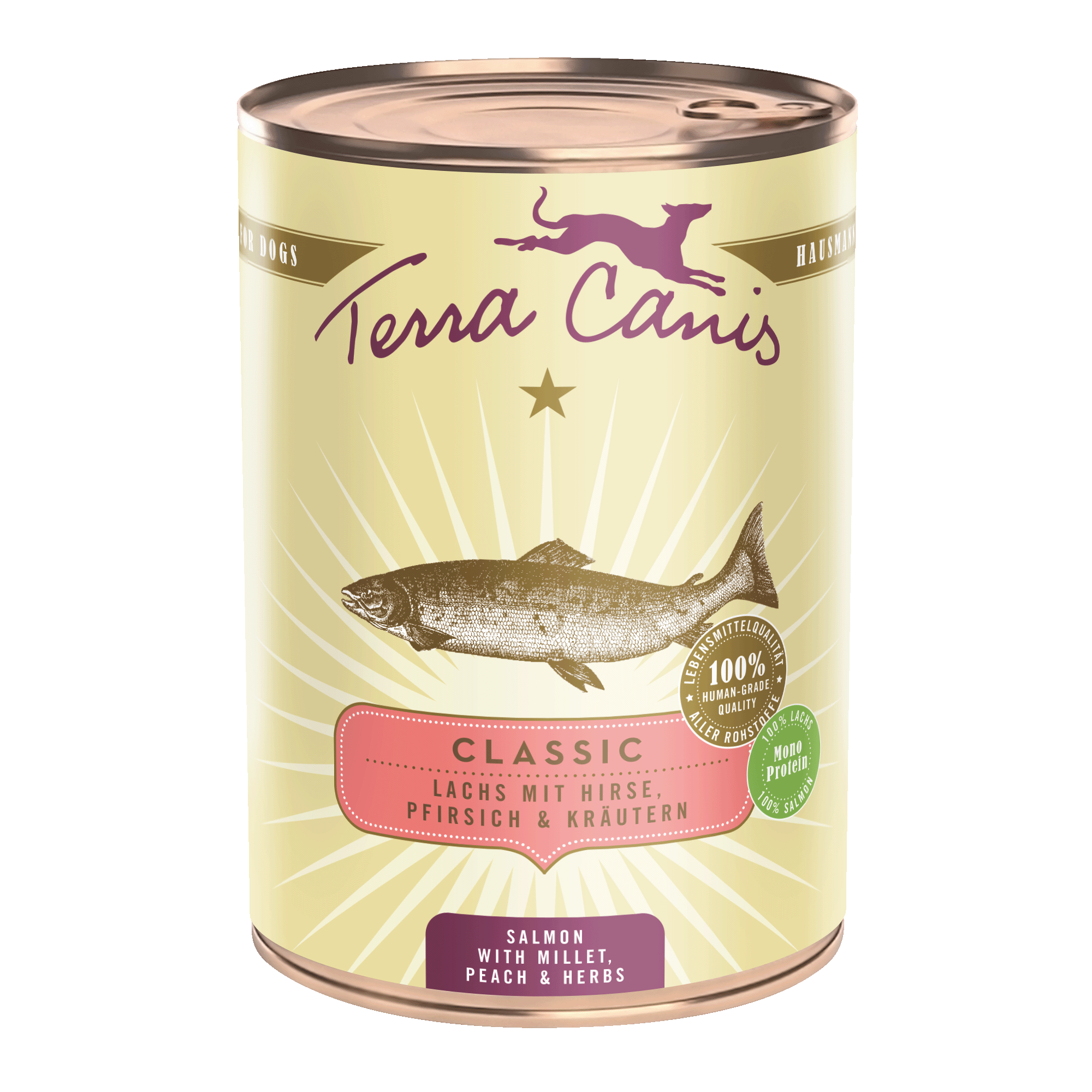 Terra Canis Classic | Lachs mit Hirse, Pfirsich und Kräutern 400g