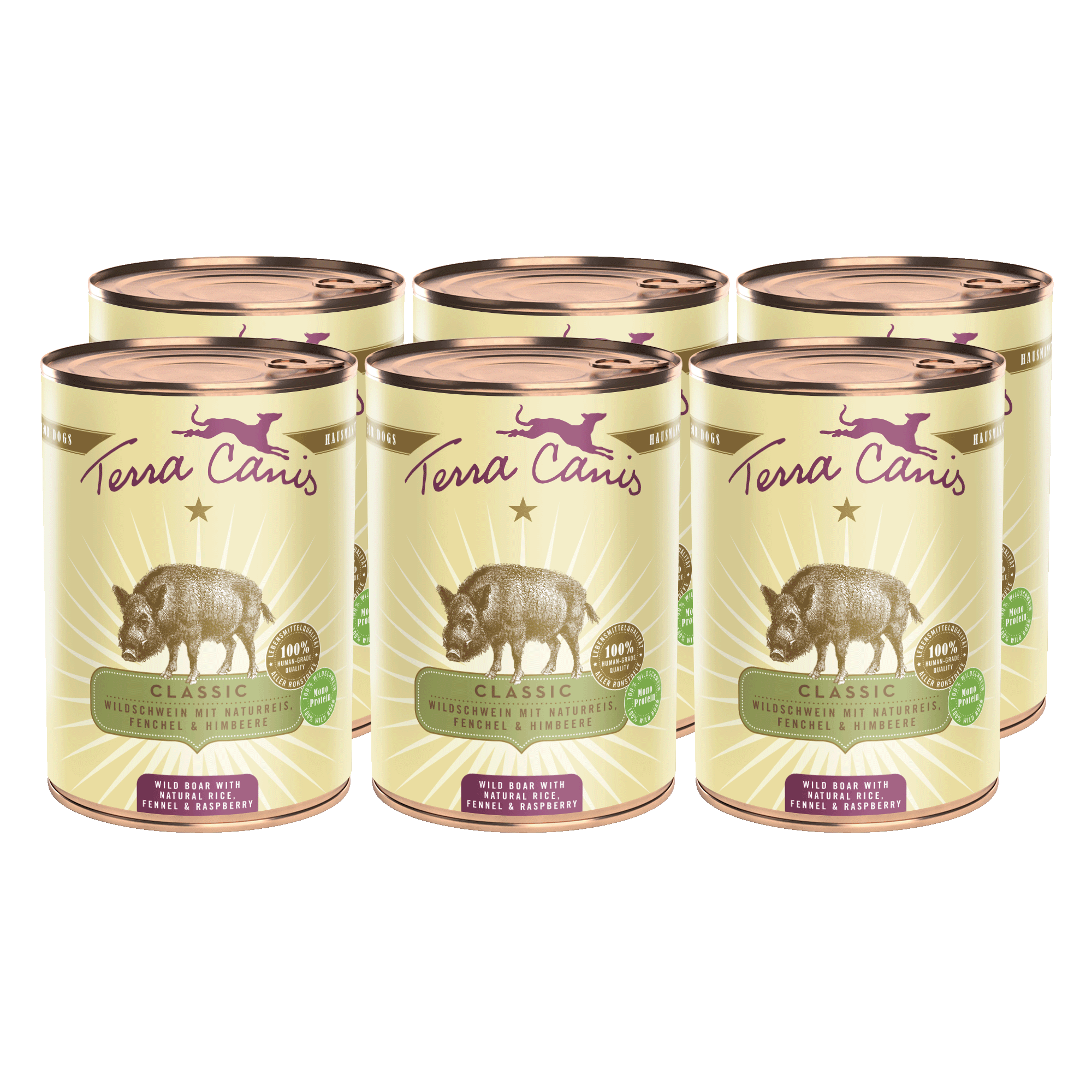 Terra Canis Classic | Wildschwein mit Naturreis, Fenchel und Himbeere 6x 400g