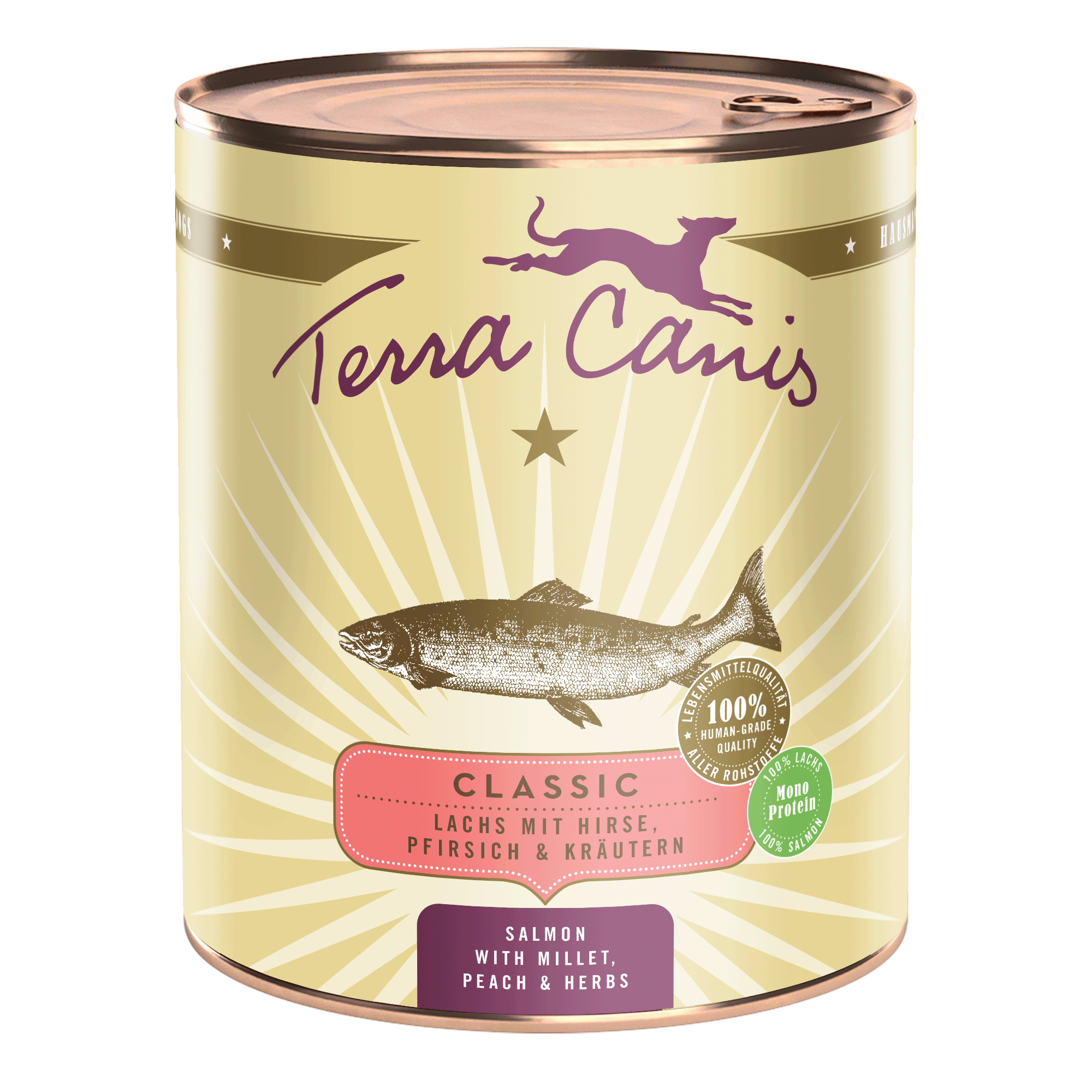 Terra Canis Classic | Lachs mit Hirse, Pfirsich und Kräutern 800g