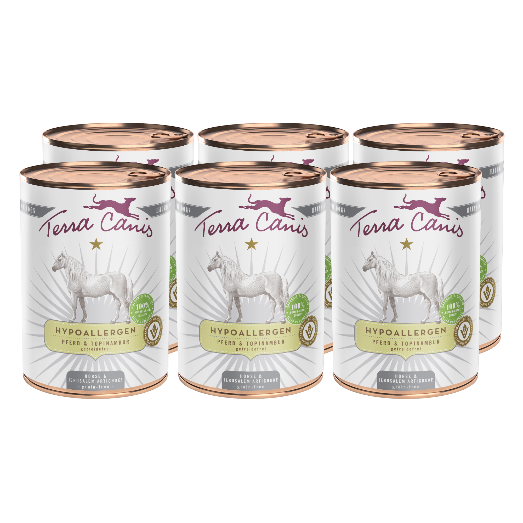 Terra Canis Hypoallergen | Pferd mit Topinambur 6x 400g