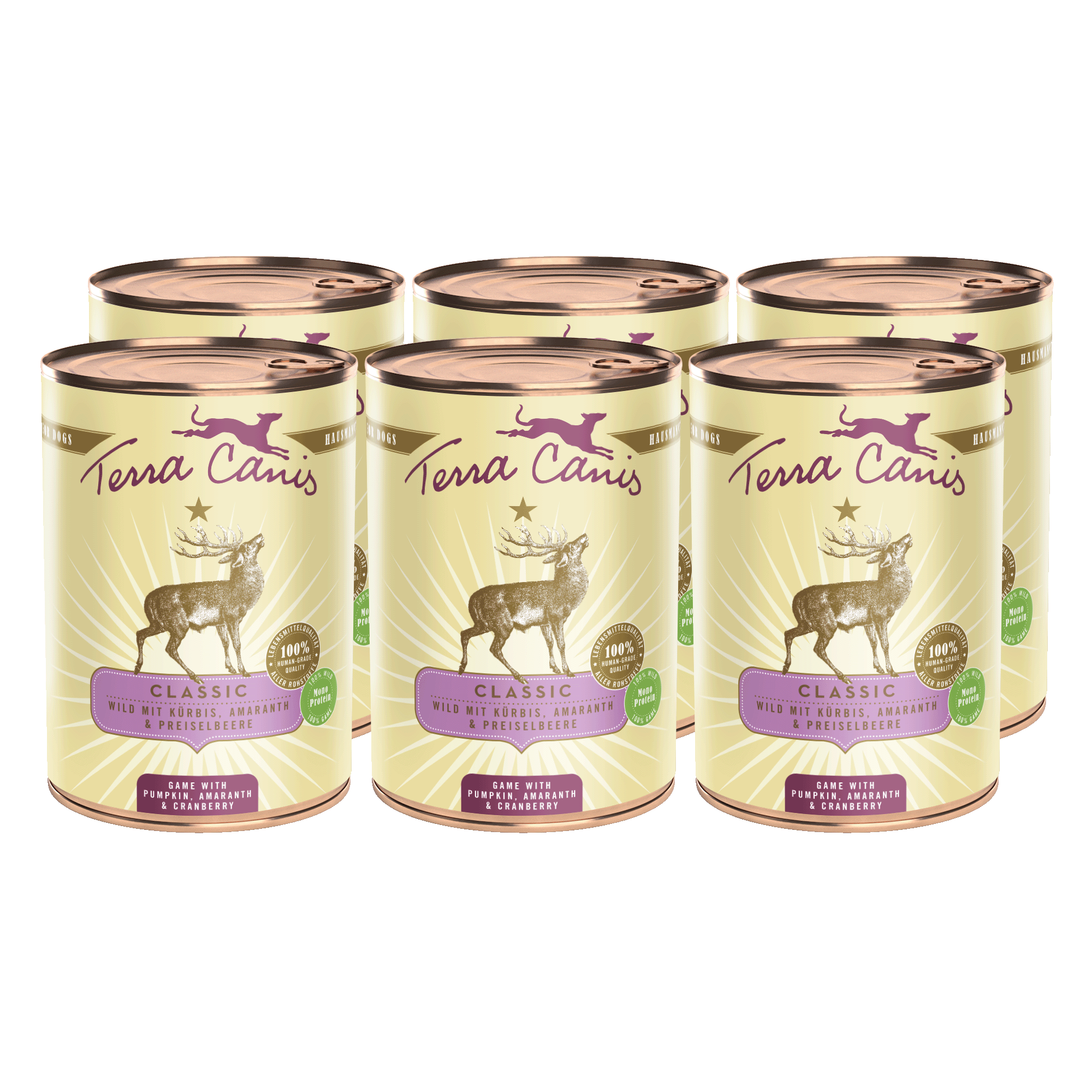 Terra Canis Classic | Wild mit Kürbis, Amaranth und Preiselbeere 6x 400g